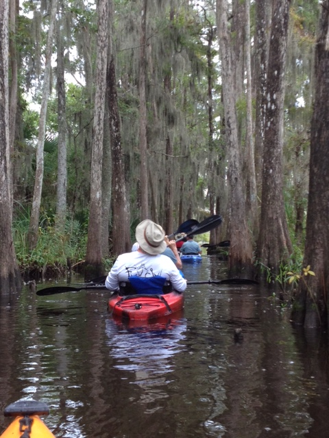 Darien Waterfront Inn Kayak Cathead Creek